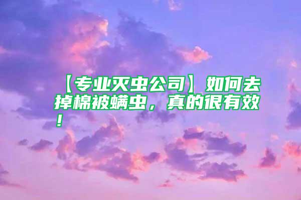 【專業(yè)滅蟲公司】如何去掉棉被螨蟲，真的很有效！