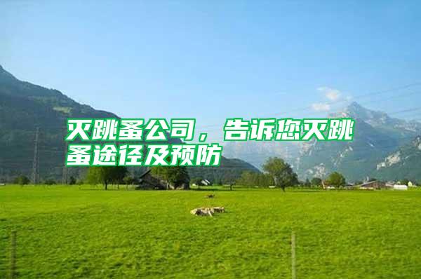 滅跳蚤公司，告訴您滅跳蚤途徑及預(yù)防