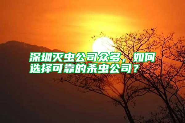 深圳滅蟲公司眾多，如何選擇可靠的殺蟲公司？