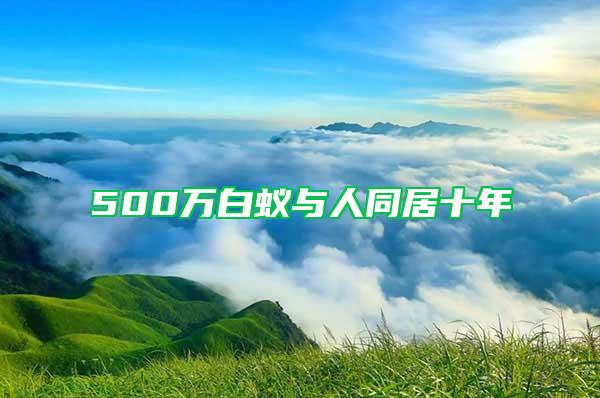 500萬(wàn)白蟻與人同居十年