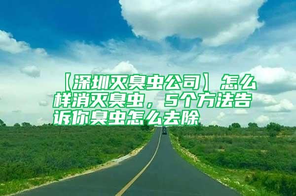 【深圳滅臭蟲公司】怎么樣消滅臭蟲，5個方法告訴你臭蟲怎么去除