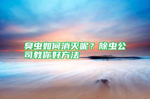 臭蟲(chóng)如何消滅呢？除蟲(chóng)公司教你好方法