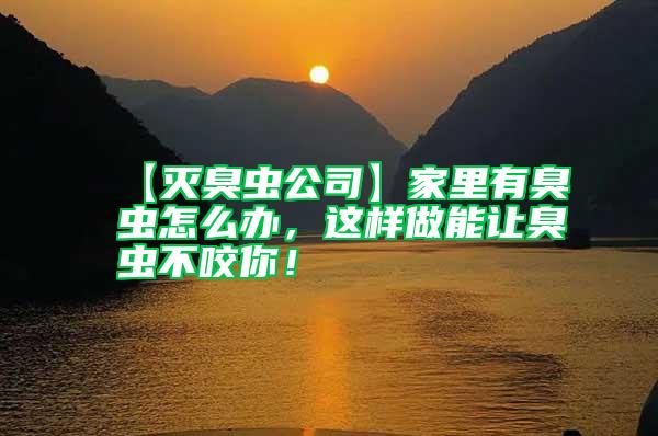 【滅臭蟲公司】家里有臭蟲怎么辦，這樣做能讓臭蟲不咬你！