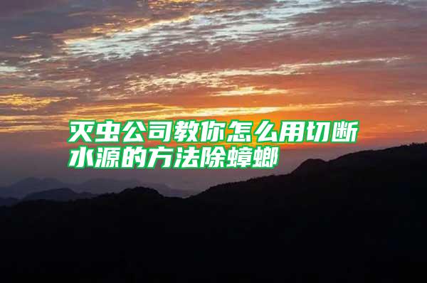 滅蟲(chóng)公司教你怎么用切斷水源的方法除蟑螂