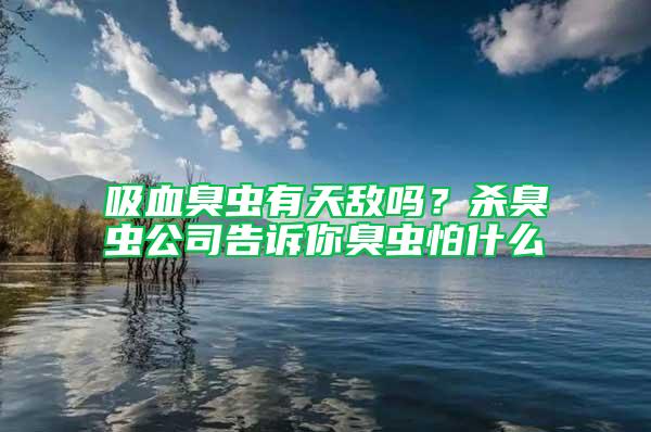 吸血臭蟲(chóng)有天敵嗎?殺臭蟲(chóng)公司告訴你臭蟲(chóng)怕什么