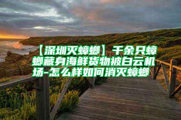 【深圳滅蟑螂】千余只蟑螂藏身海鮮貨物被白云機(jī)場(chǎng)-怎么樣如何消滅蟑螂