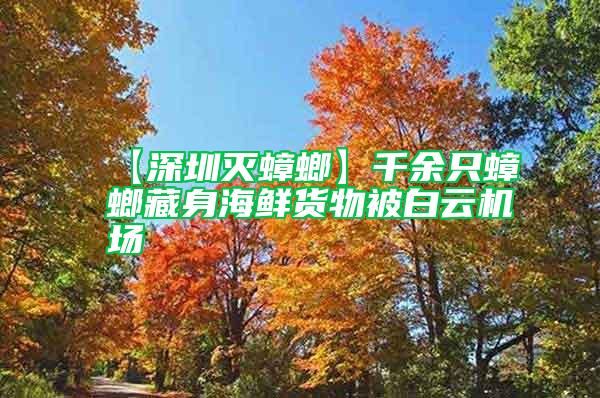 【深圳滅蟑螂】千余只蟑螂藏身海鮮貨物被白云機(jī)場(chǎng)