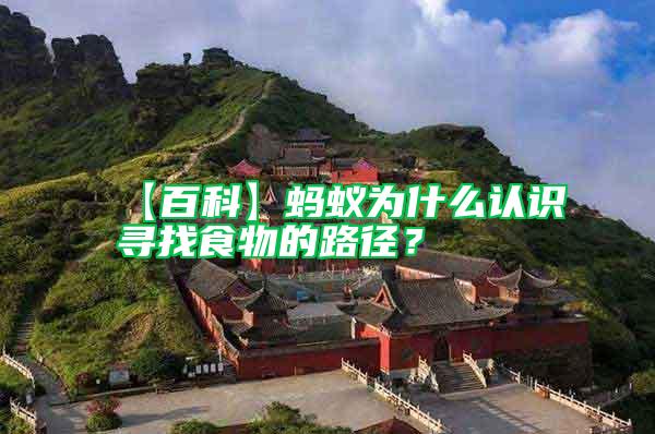 【百科】螞蟻為什么認(rèn)識(shí)尋找食物的路徑？