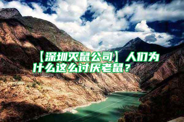 【深圳滅鼠公司】人們?yōu)槭裁催@么討厭老鼠？