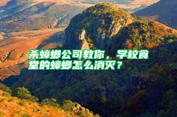 殺蟑螂公司教你，學(xué)校食堂的蟑螂怎么消滅？