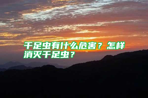 千足蟲有什么危害？怎樣消滅千足蟲？