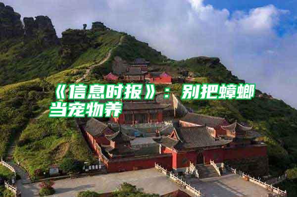 《信息時(shí)報(bào)》:別把蟑螂當(dāng)寵物養(yǎng)