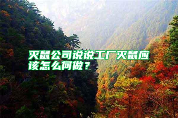 滅鼠公司說(shuō)說(shuō)工廠滅鼠應(yīng)該怎么何做?