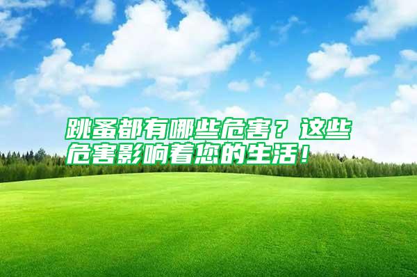跳蚤都有哪些危害？這些危害影響著您的生活！