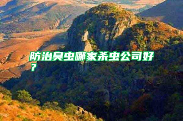 防治臭蟲(chóng)哪家殺蟲(chóng)公司好?