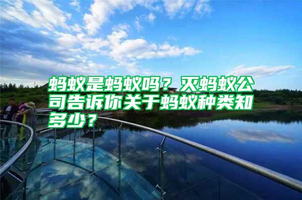 螞蟻是螞蟻嗎？滅螞蟻公司告訴你關(guān)于螞蟻種類知多少？