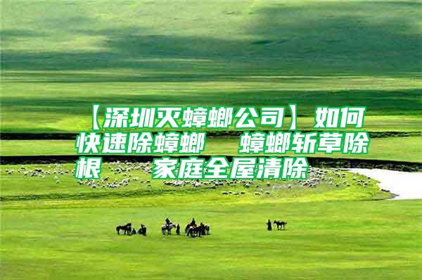 【深圳滅蟑螂公司】如何快速除蟑螂 蟑螂斬草除根 家庭全屋清除