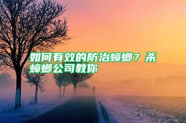 如何有效的防治蟑螂？殺蟑螂公司教你