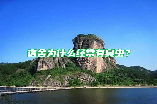 宿舍為什么經(jīng)常有臭蟲？