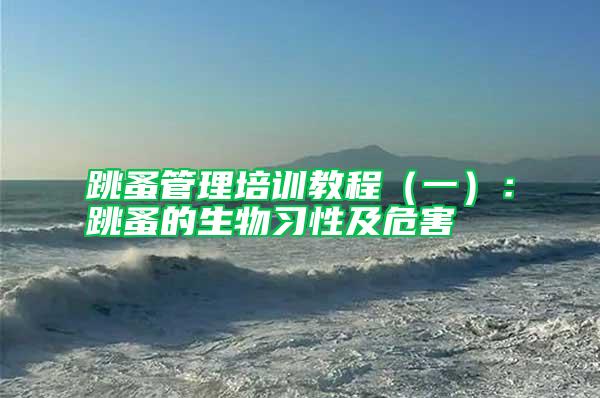 跳蚤管理培訓(xùn)教程(一):跳蚤的生物習(xí)性及危害