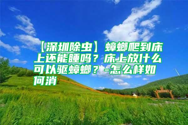 【深圳除蟲】蟑螂爬到床上還能睡嗎？床上放什么可以驅(qū)蟑螂？-怎么樣如何消