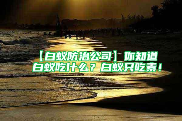 【白蟻防治公司】你知道白蟻吃什么？白蟻只吃素！