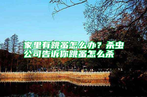 家里有跳蚤怎么辦？殺蟲(chóng)公司告訴你跳蚤怎么殺