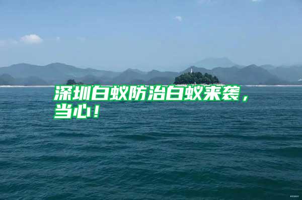 深圳白蟻防治白蟻來襲，當(dāng)心！