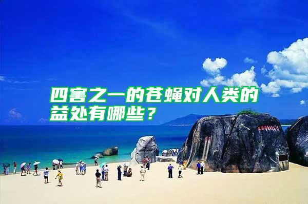 四害之一的蒼蠅對(duì)人類的益處有哪些？