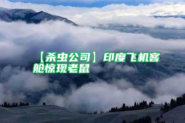 【殺蟲公司】印度飛機客艙驚現(xiàn)老鼠