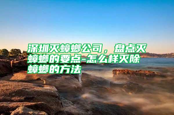 深圳滅蟑螂公司，盤點滅蟑螂的要點-怎么樣滅除蟑螂的方法