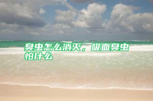 臭蟲怎么消滅,吸血臭蟲怕什么