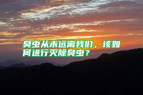 臭蟲從未遠(yuǎn)離我們，該如何進(jìn)行滅除臭蟲？