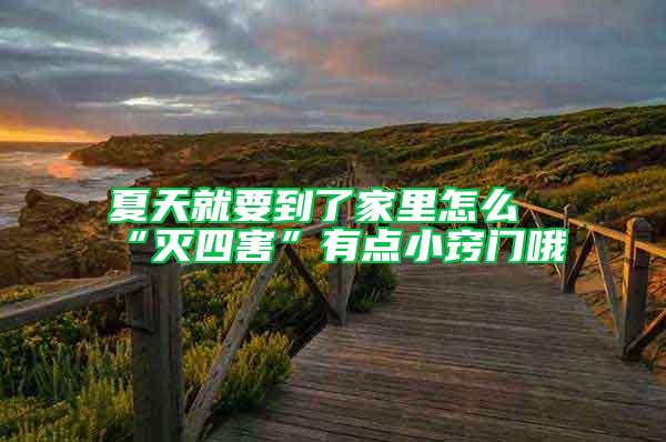 夏天就要到了家里怎么“滅四害”有點(diǎn)小竅門哦