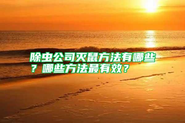 除蟲公司滅鼠方法有哪些？哪些方法最有效？