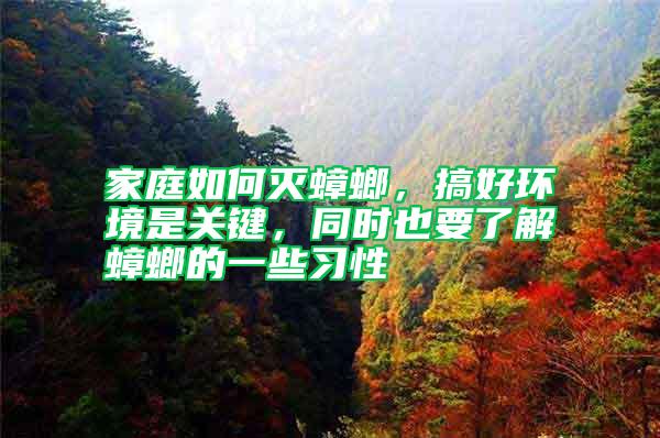 家庭如何滅蟑螂，搞好環(huán)境是關鍵，同時也要了解蟑螂的一些習性