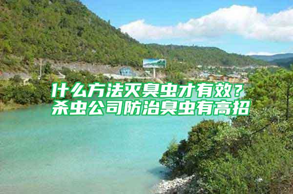什么方法滅臭蟲才有效？殺蟲公司防治臭蟲有高招