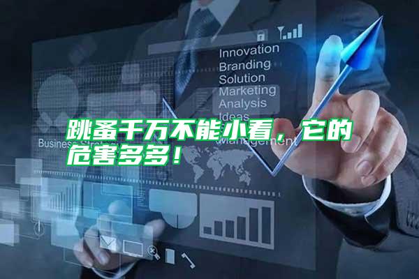 跳蚤千萬(wàn)不能小看，它的危害多多！