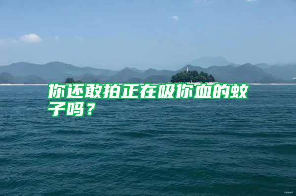 你還敢拍正在吸你血的蚊子嗎？