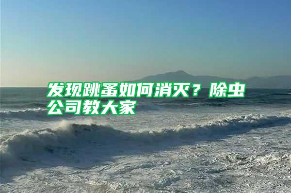 發(fā)現(xiàn)跳蚤如何消滅？除蟲公司教大家