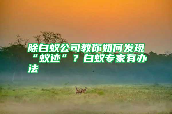 除白蟻公司教你如何發(fā)現(xiàn)“蟻跡”？白蟻專家有辦法