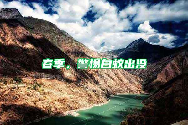 春季，警惕白蟻出沒(méi)