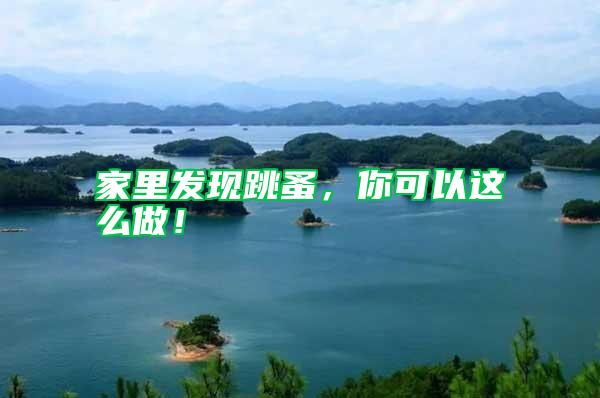 家里發(fā)現(xiàn)跳蚤，你可以這么做！