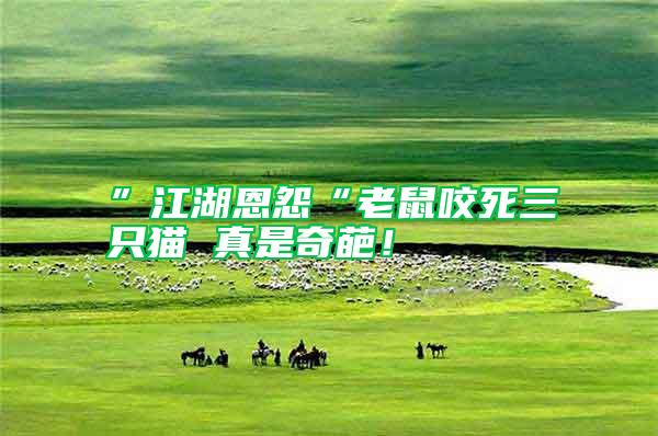 ”江湖恩怨“老鼠咬死三只貓 真是奇葩!