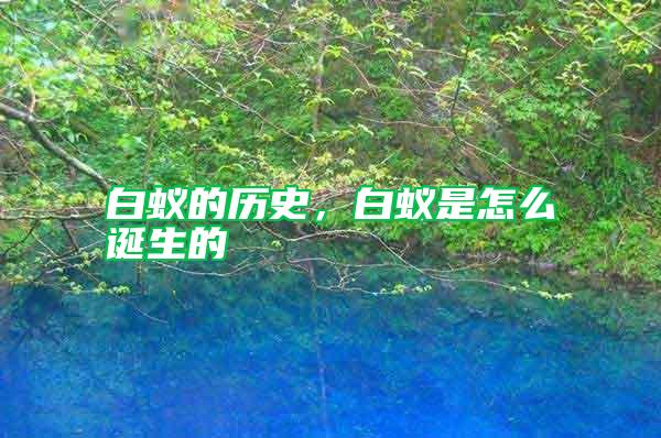 白蟻的歷史，白蟻是怎么誕生的