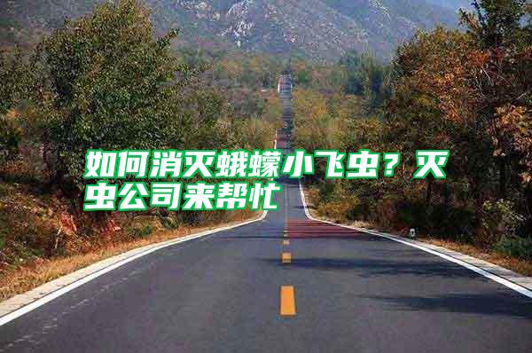 如何消滅蛾蠓小飛蟲？滅蟲公司來幫忙