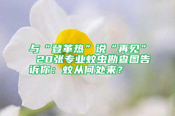 與“登革熱”說“再見” 20張專業(yè)蚊蟲勘查圖告訴你：蚊從何處來？