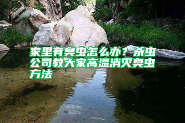 家里有臭蟲怎么辦？殺蟲公司教大家高溫消滅臭蟲方法
