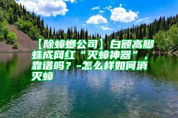 【除蟑螂公司】白額高腳蛛成網(wǎng)紅“滅蟑神器”，靠譜嗎？-怎么樣如何消滅蟑