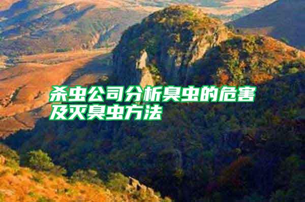 殺蟲公司分析臭蟲的危害及滅臭蟲方法